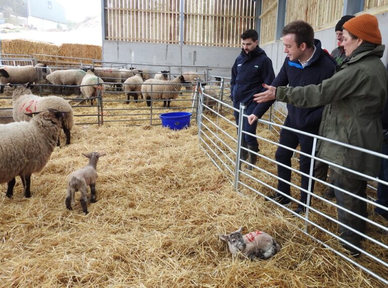 Tom Rutland MP at Old Erringham Farm.